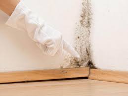 Why You Should Choose Our Mold Remediation Services in Shawneeland, VA